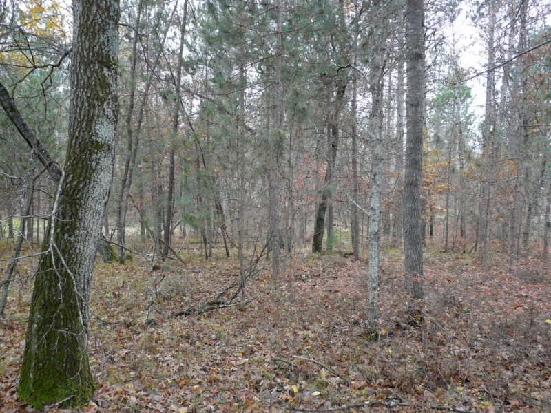 Image 5 of 6