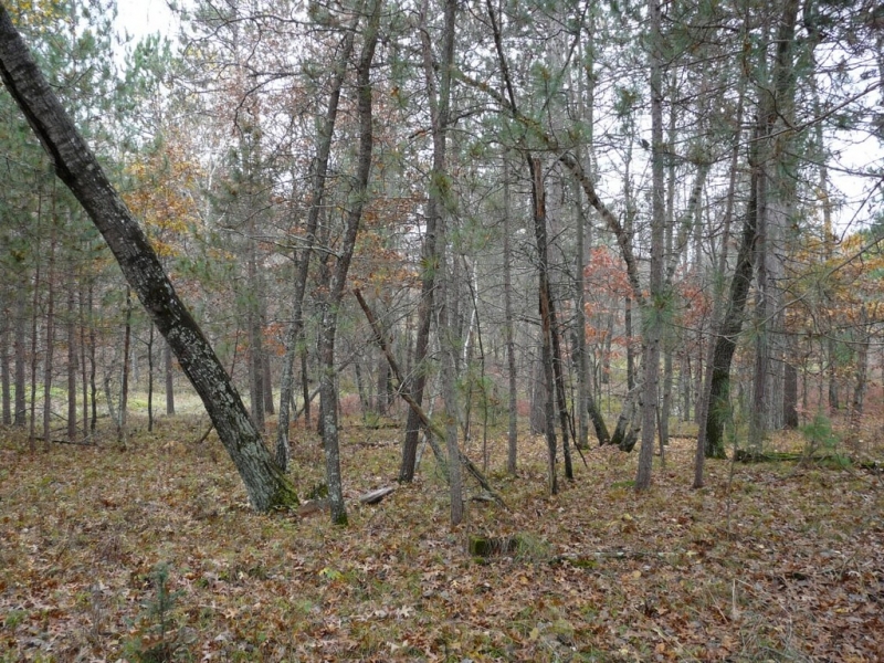 Image 6 of 6