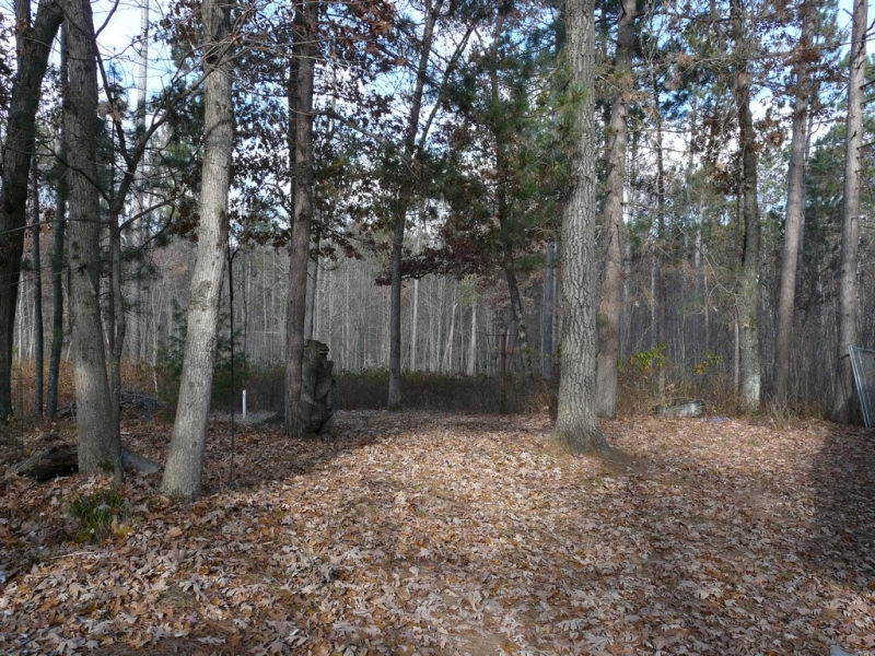 Image 10 of 11