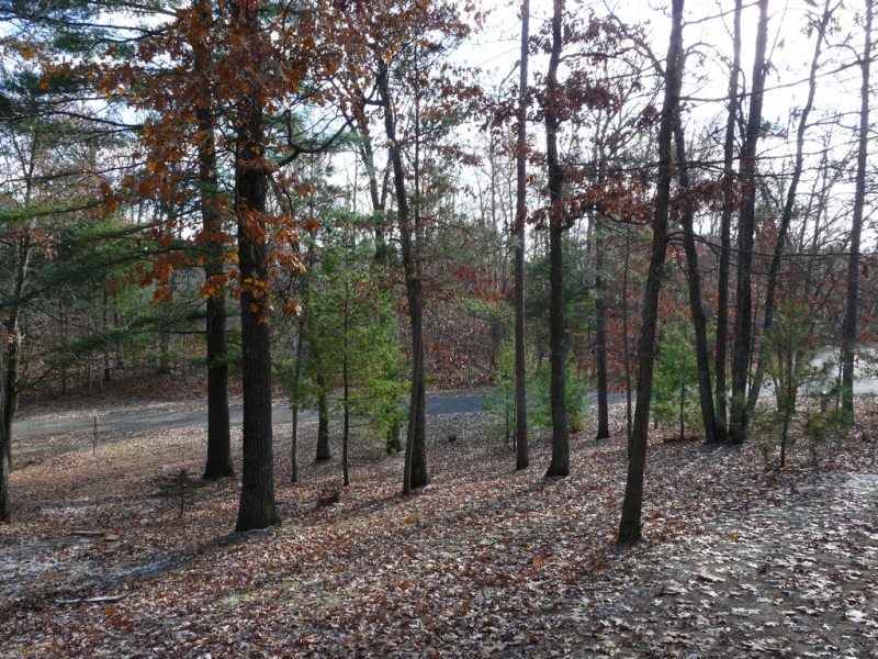 Image 11 of 11