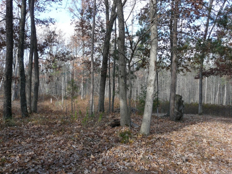 Image 9 of 11