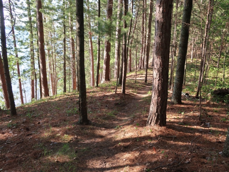 Image 39 of 50