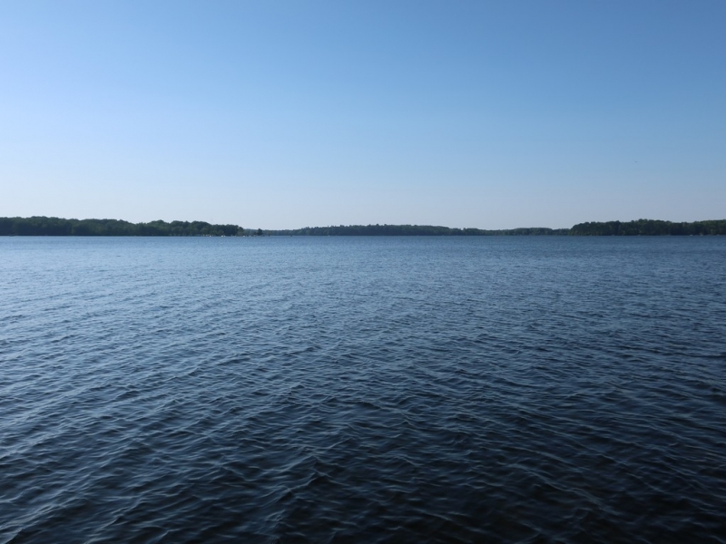 Image 4 of 50