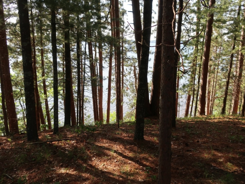 Image 40 of 50
