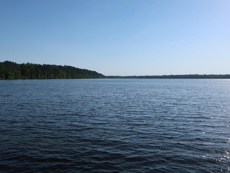 Image 45 of 50