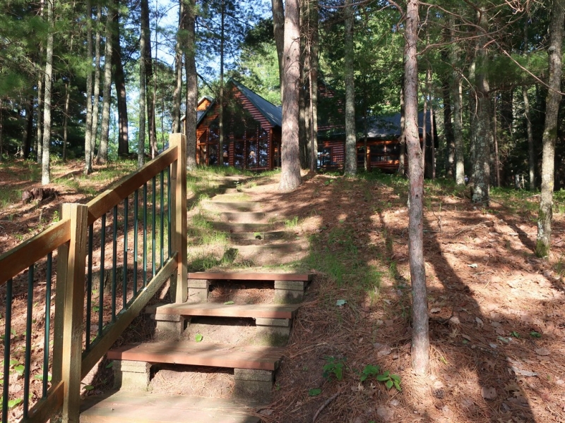 Image 46 of 50