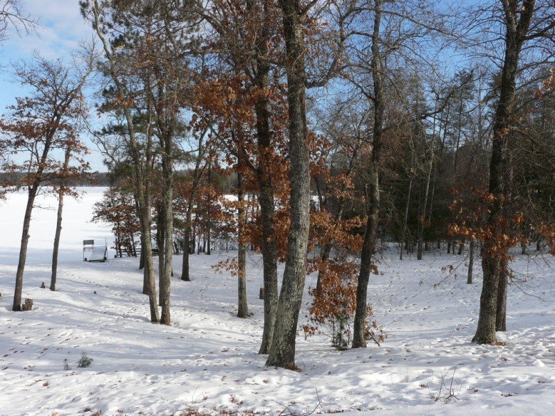 Image 11 of 12