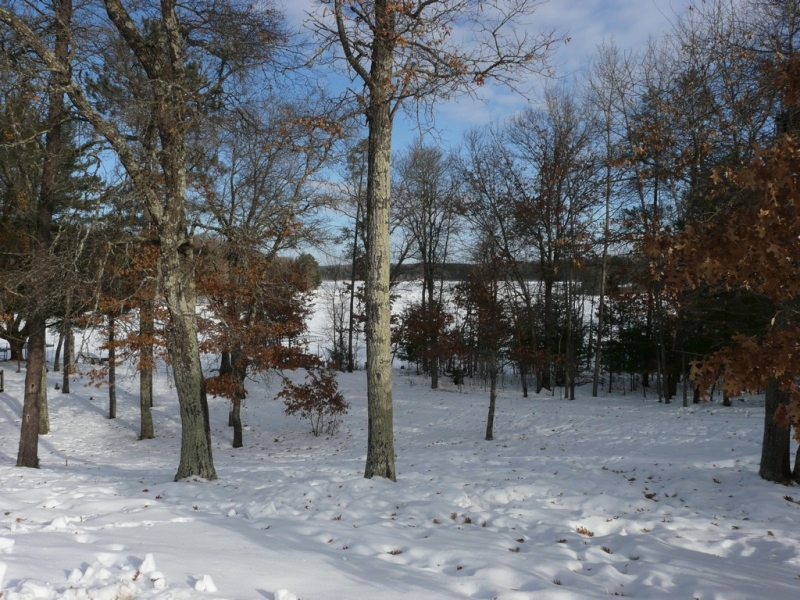 Image 12 of 12