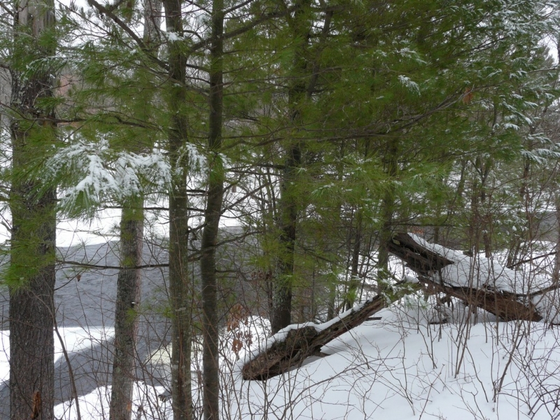 Image 2 of 10