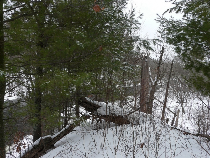 Image 3 of 10