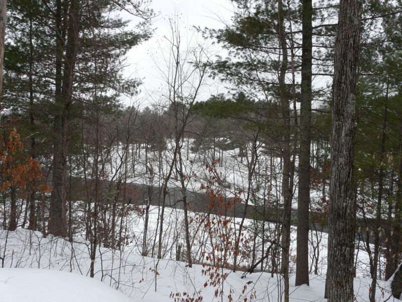 Image 4 of 10