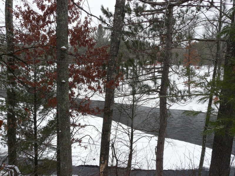 Image 5 of 10