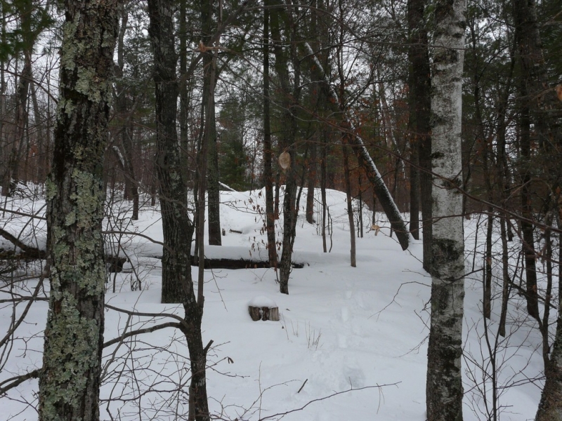 Image 7 of 10