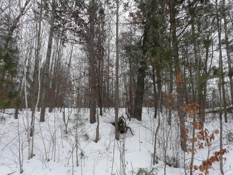 Image 8 of 10