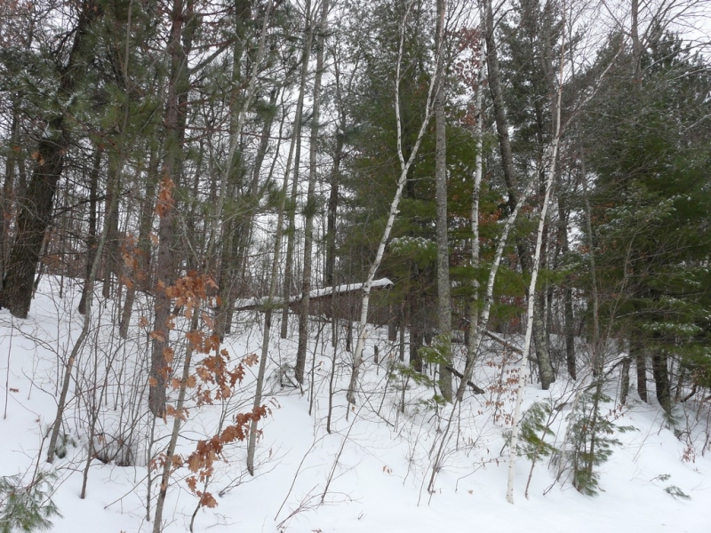 Image 9 of 10