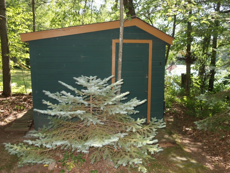 Image 22 of 27