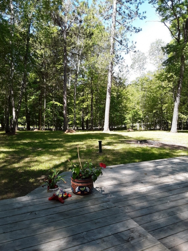 Image 16 of 22