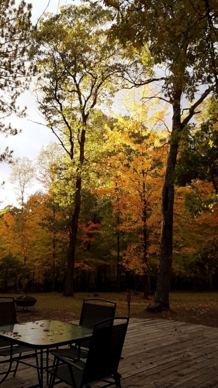 Image 19 of 22