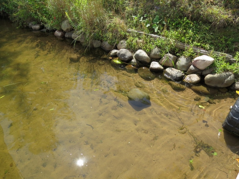 Image 21 of 35