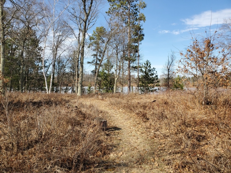 Image 21 of 22