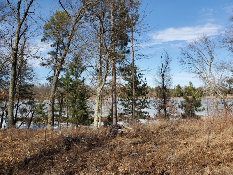 Image 22 of 22