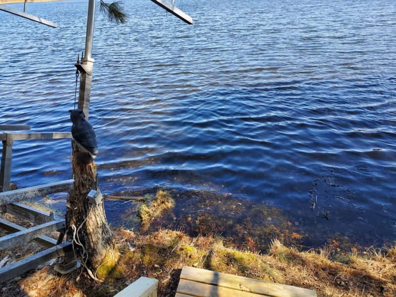 Image 24 of 24