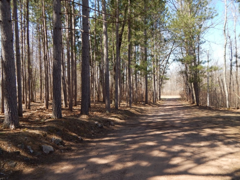 Image 25 of 25