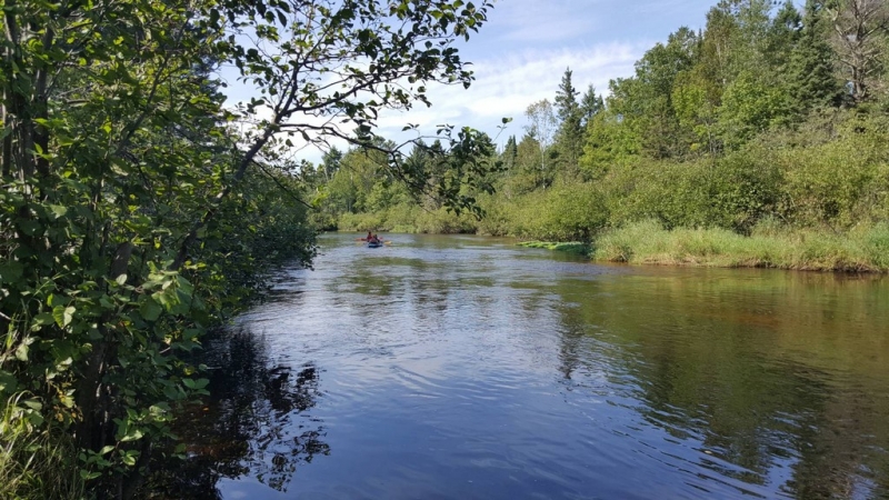Image 6 of 8