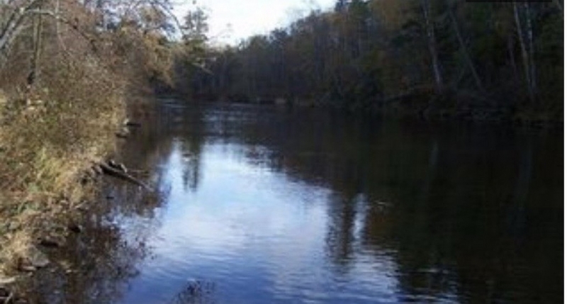 Image 7 of 8
