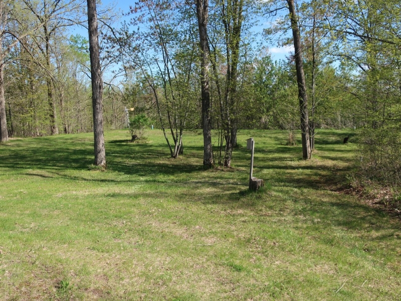 Image 4 of 22
