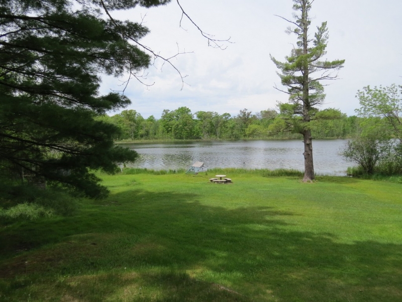 Image 15 of 28