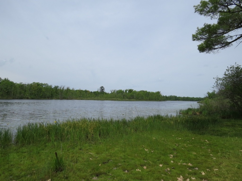 Image 16 of 28
