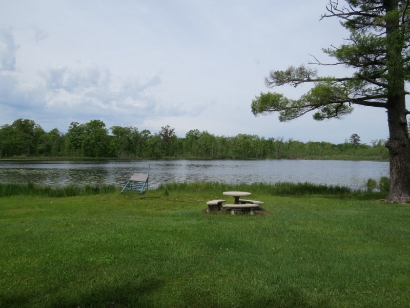 Image 17 of 28