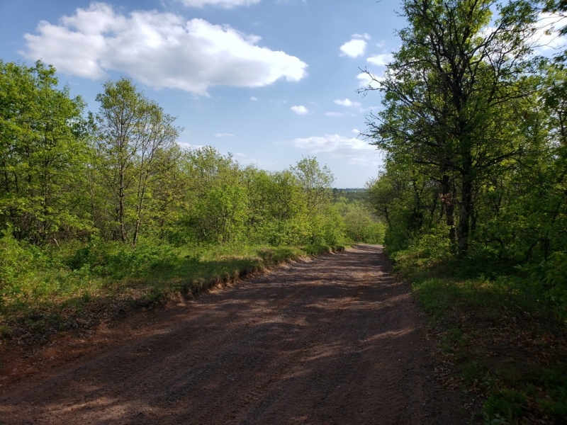 Image 8 of 9