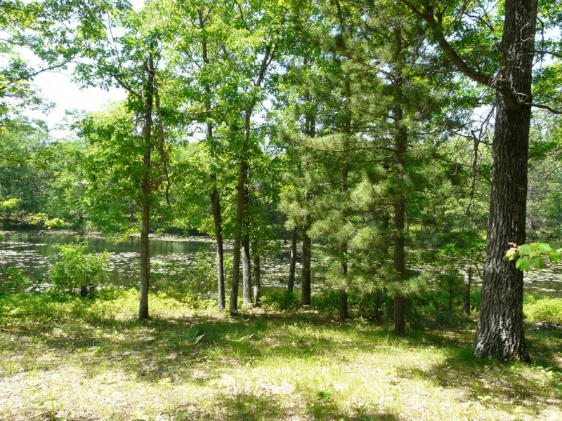 Image 11 of 14