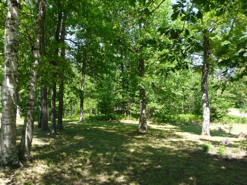 Image 12 of 14