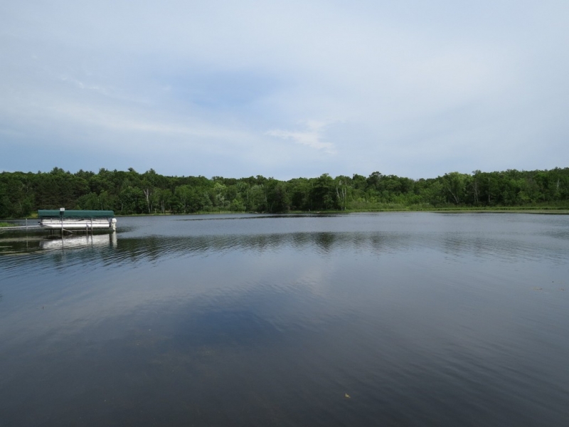 Image 13 of 23