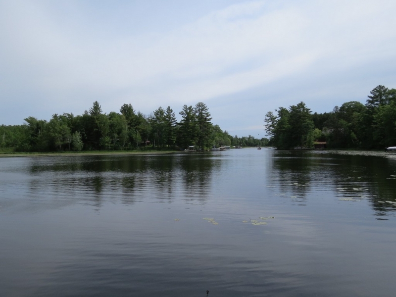 Image 14 of 23