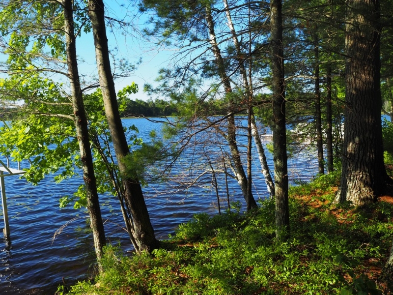 Image 4 of 25