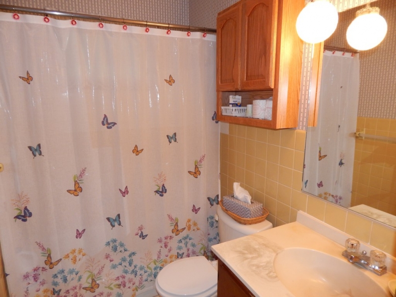 Image 11 of 20