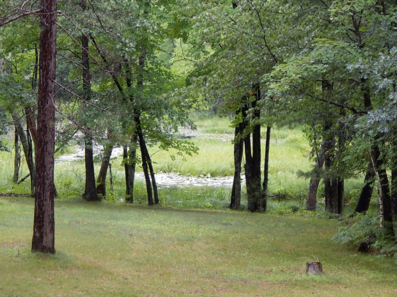 Image 16 of 20