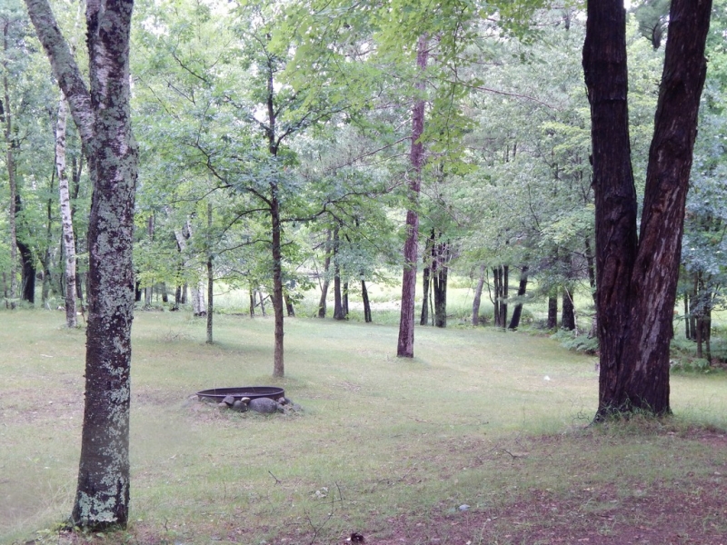 Image 18 of 20