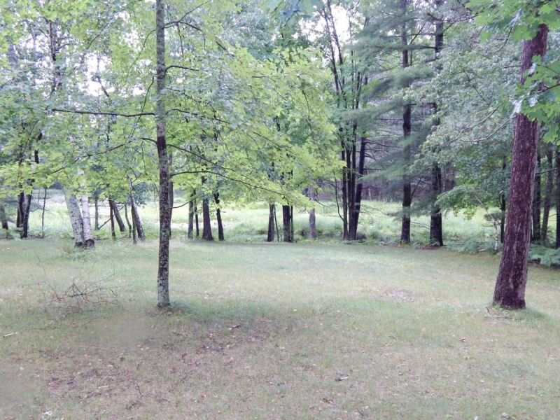 Image 19 of 20