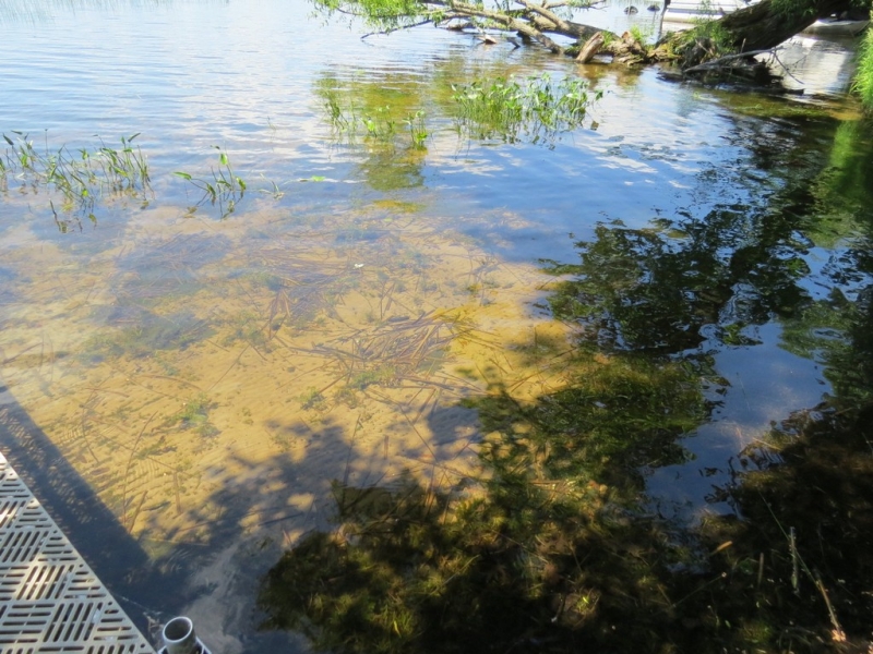 Image 11 of 16