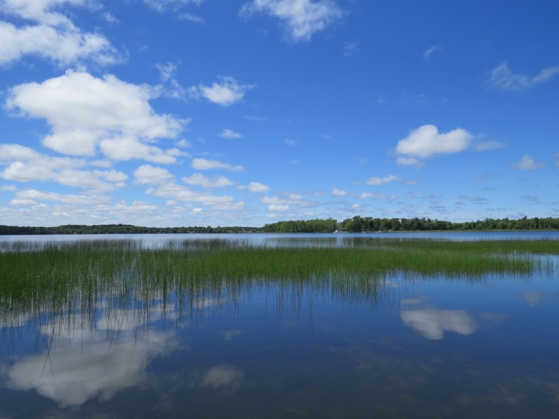 Image 16 of 16