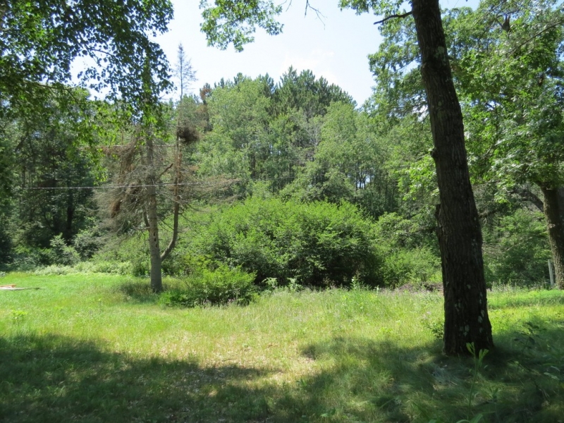 Image 12 of 12