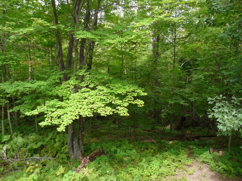 Image 17 of 18