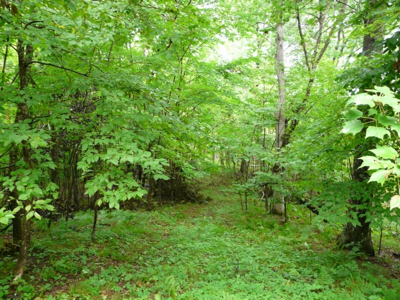Image 18 of 18