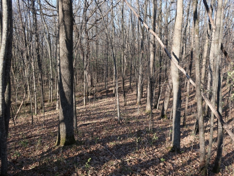 Image 10 of 22