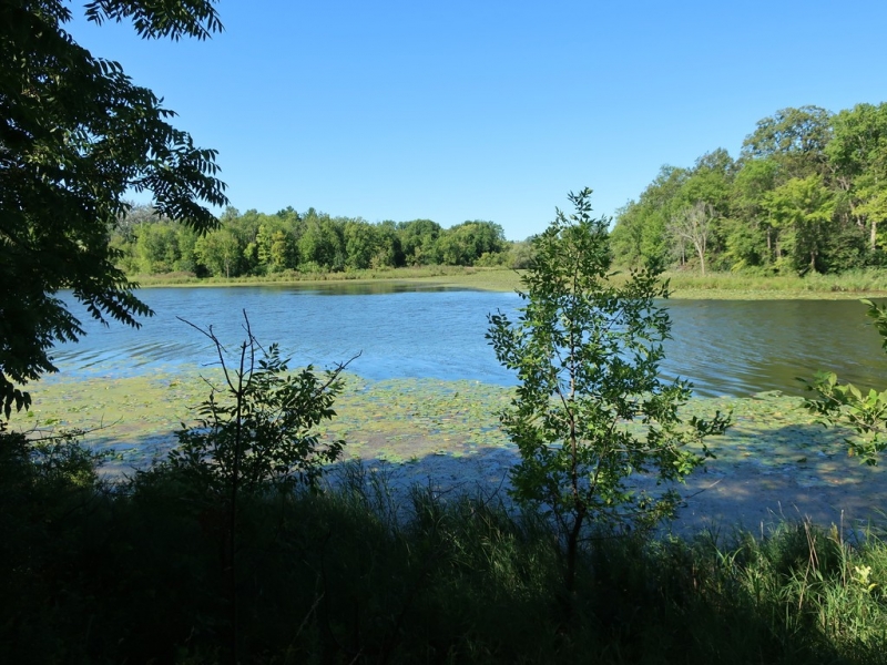 Image 11 of 22